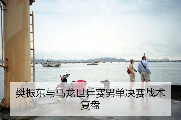 樊振东与马龙世乒赛男单决赛战术复盘
